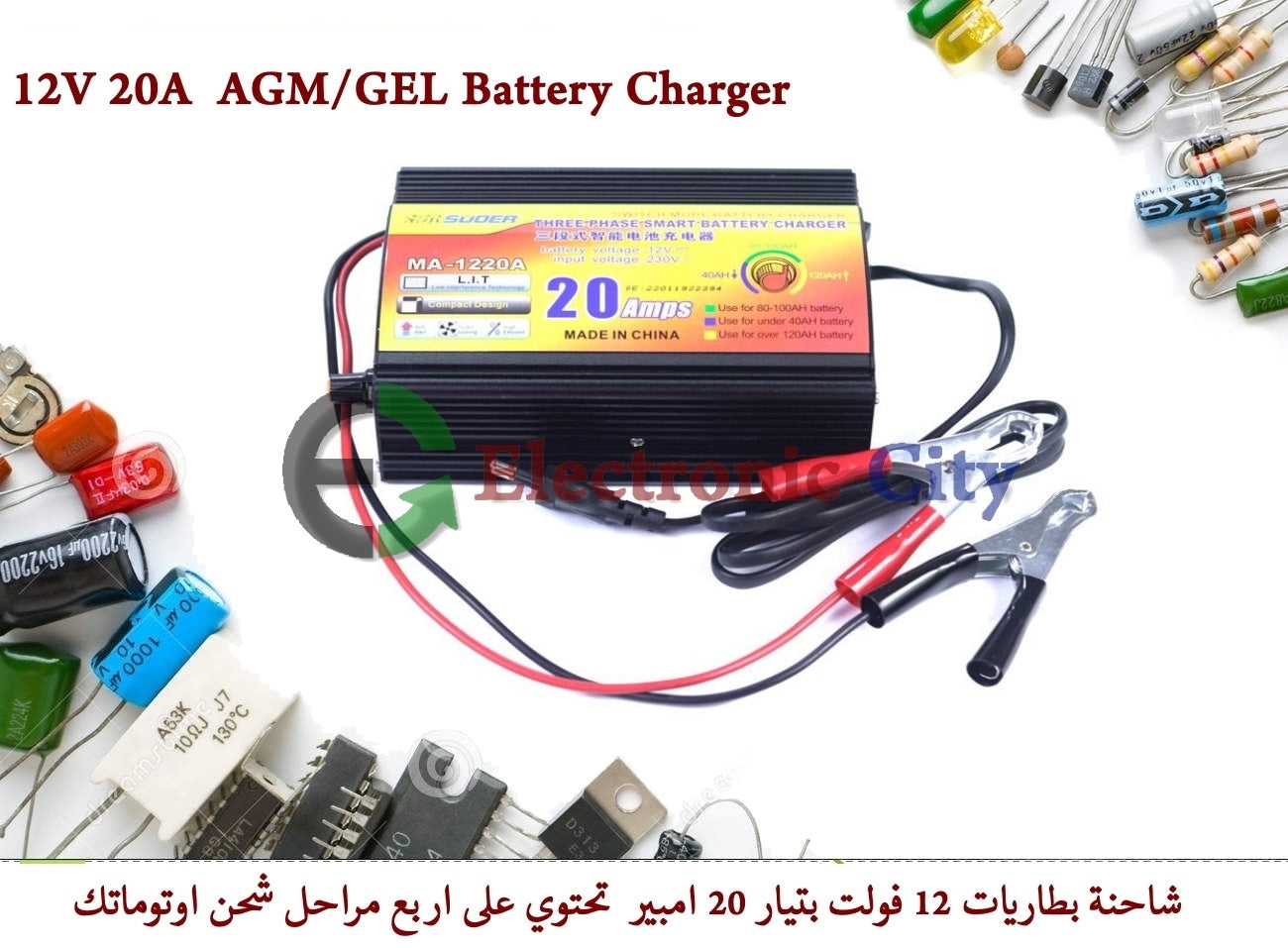 12V 20A AGM/GEL Battery Charger