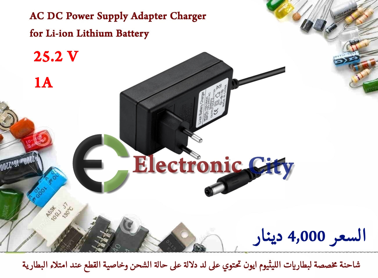 25.2V 1A AC DC Power Supply Adapter Charger for 6S Li-ion Lithium Battery #II1 012492