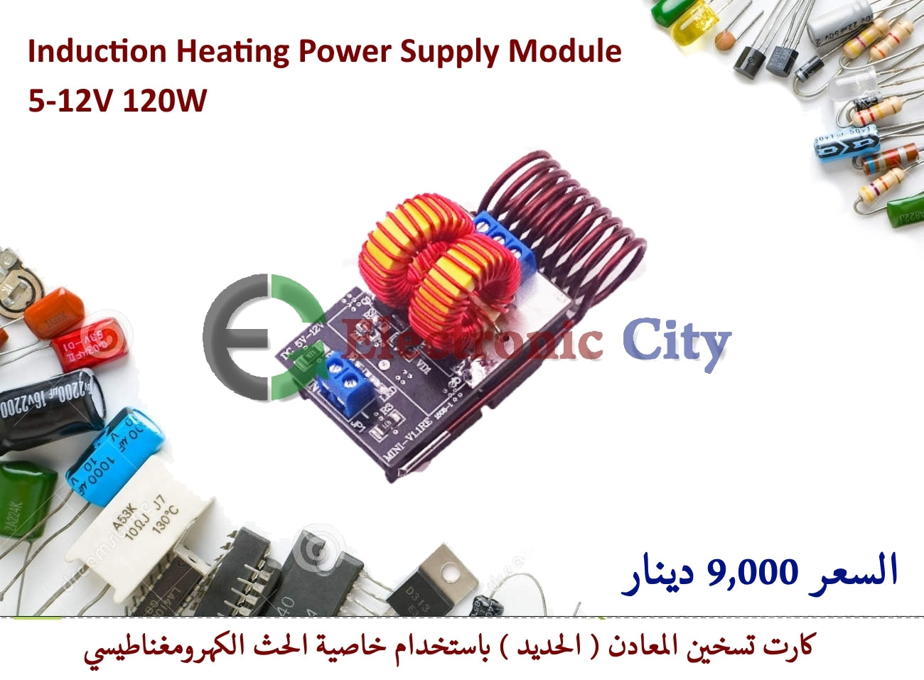 Voltage Induction Heating Power Supply Module 5-12V 120W #L7 012236