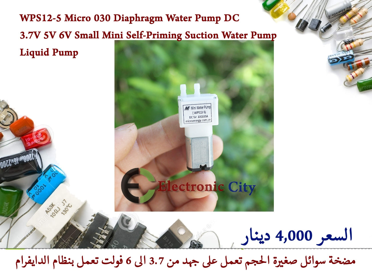 WPS12-5 Micro 030 Diaphragm Water Pump DC 3.7V 5V 6V Small Mini Self-Priming Suction Water Pump Liquid Pump 012765