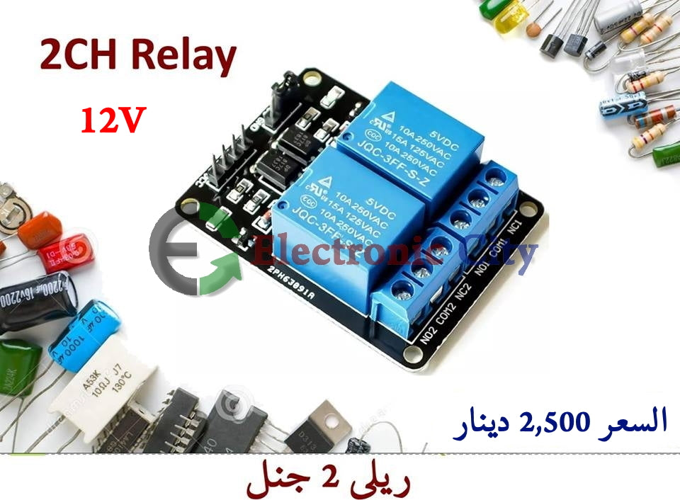 Relay 2Ch 12V