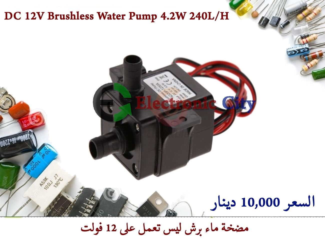 12V DC Brushless Small Water Pump 240lh #I1 011628
