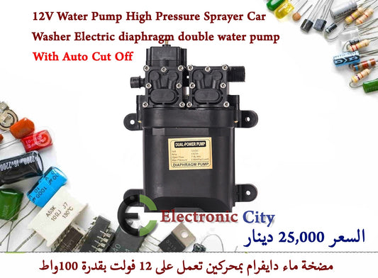 12V Water Pump High Pressure Sprayer Car Washer Electric diaphragm double water pump