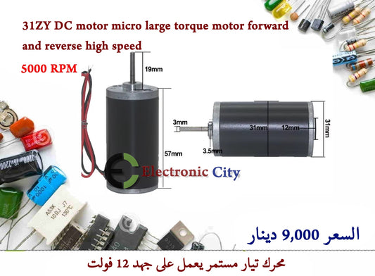 31ZY 12V DC motor micro large torque motor forward and reverse high speed 5000Rpm