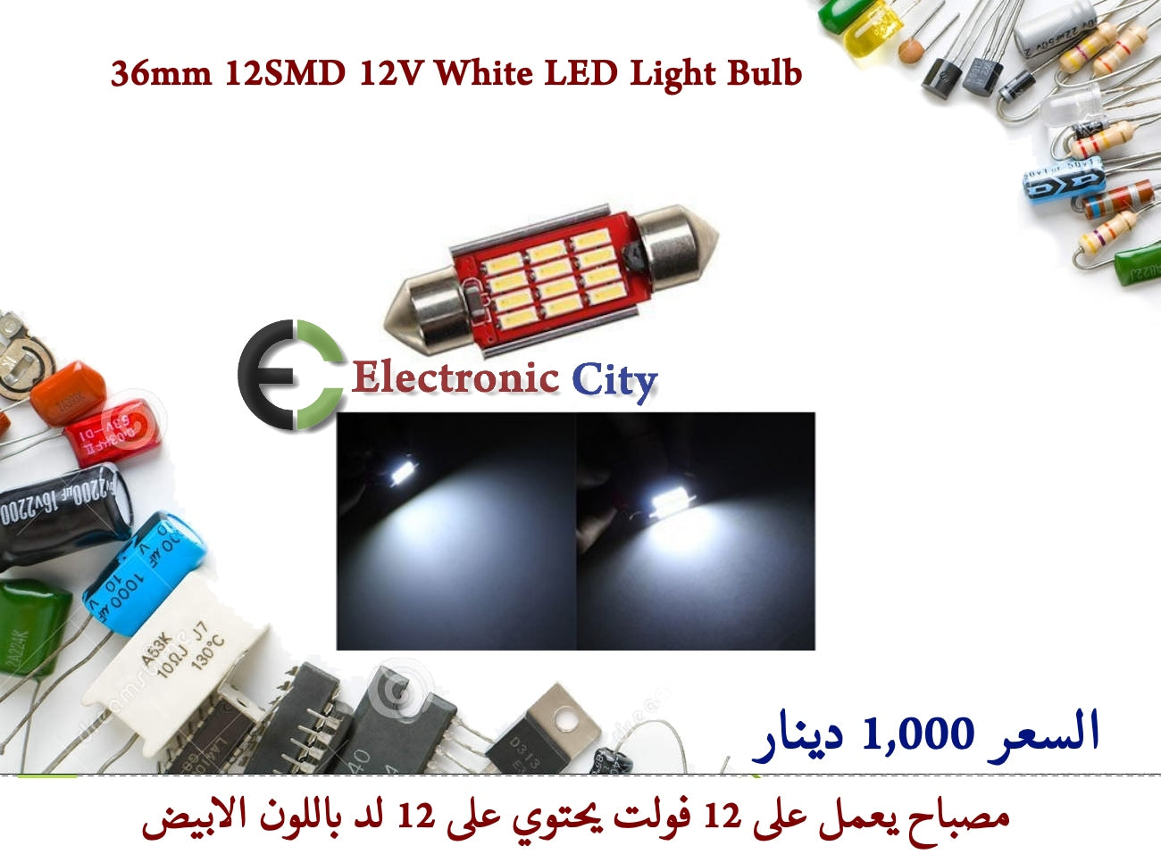 36mm 12SMD 12V White LED Light Bulb