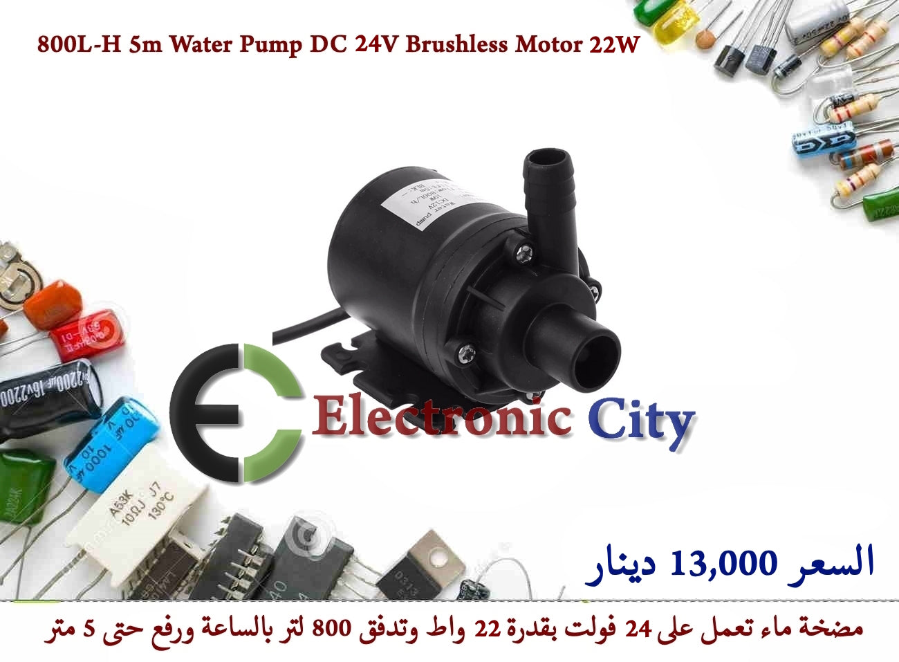 800L-H 5m Water Pump DC 24V Brushless Motor 22W #I10 012580