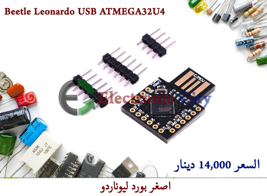 Beetle Leonardo USB ATMEGA32U4 #U12 12229