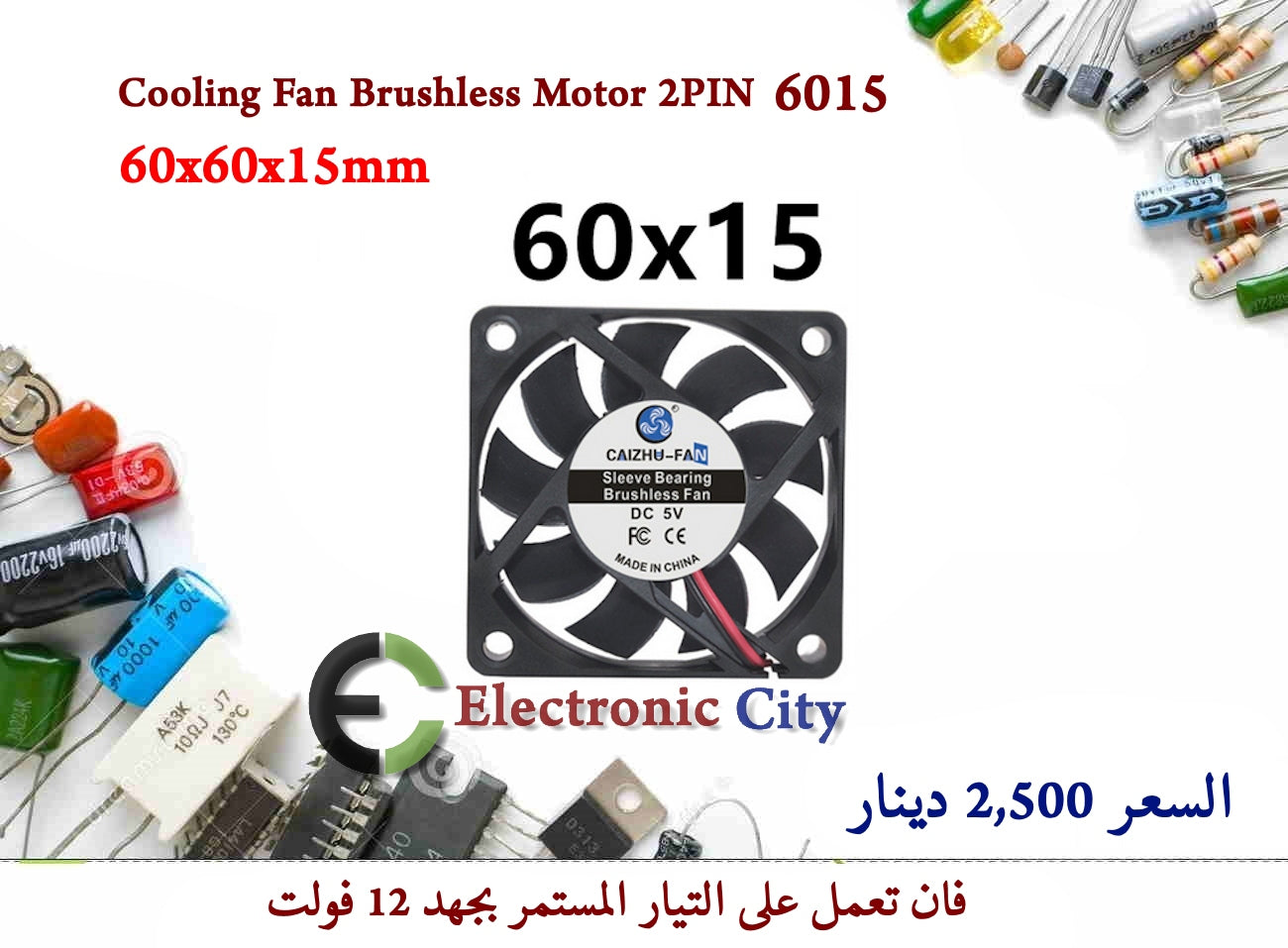 Cooling Fan Brushless Motor 2PIN 6015 Electronic City المدينة الالكترونية