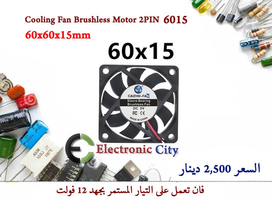 Cooling Fan Brushless Motor 2PIN 6015
