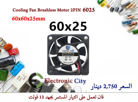 Cooling Fan Brushless Motor 2PIN 6025   Y-JL0296A