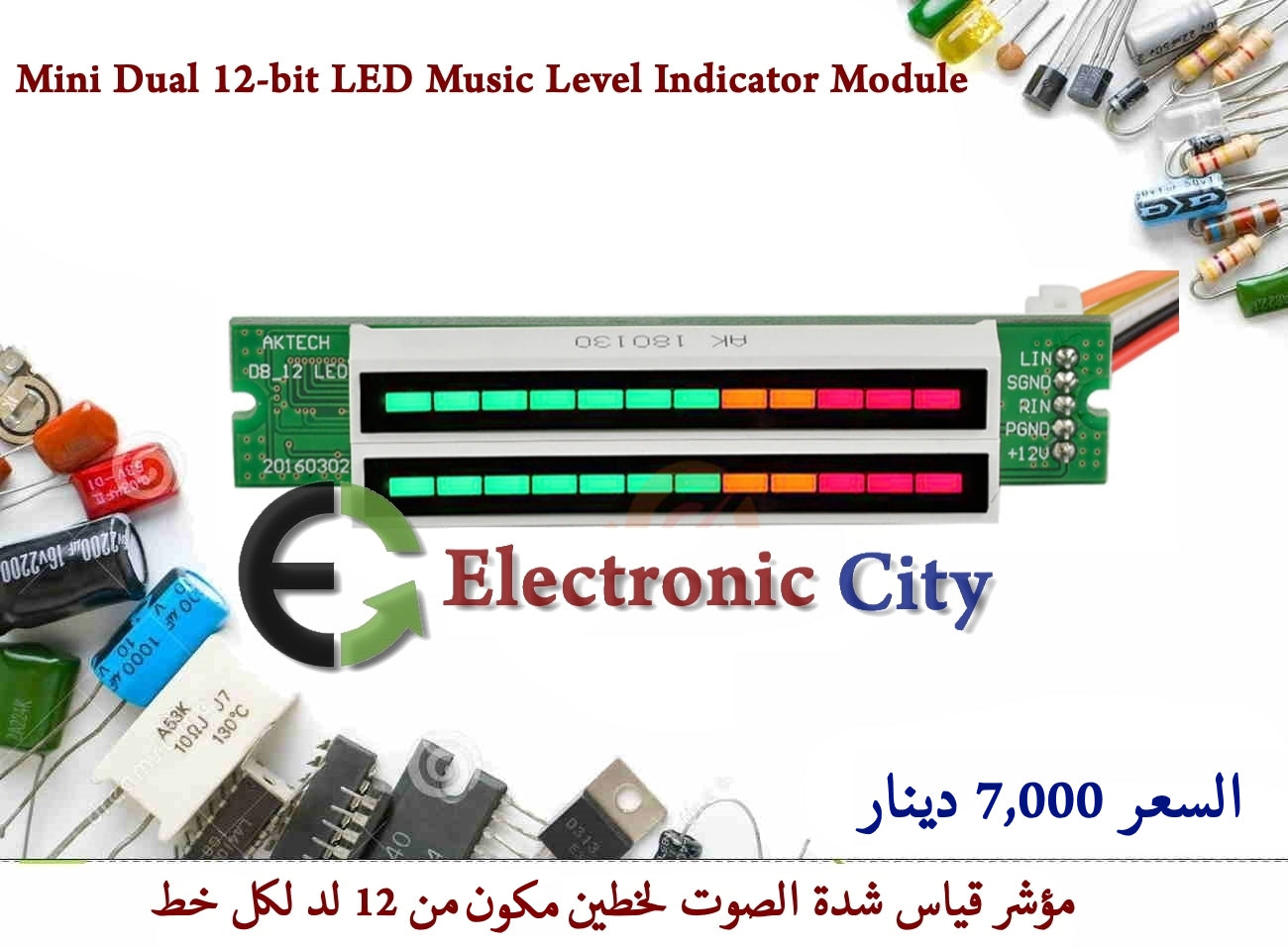 Mini Dual 12-bit LED Music Level Indicator Module #L5 X13405