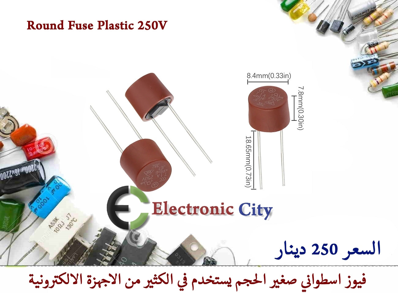 Round Fuse Plastic  250V 382