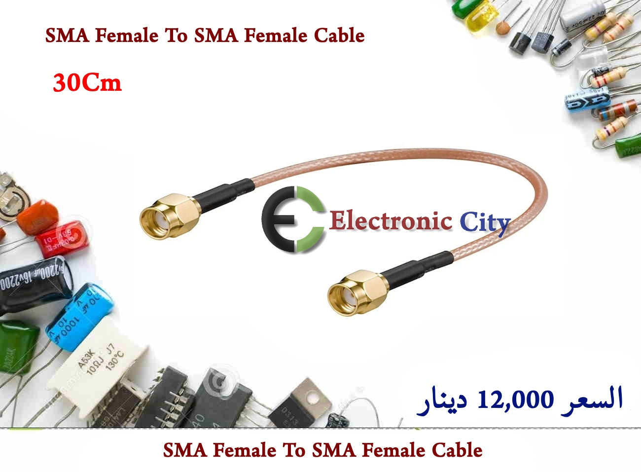 SMA Female To SMA Female Cable 30Cm