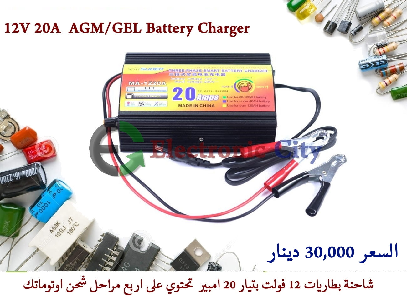 12V 20A  AGM/GEL Battery Charger