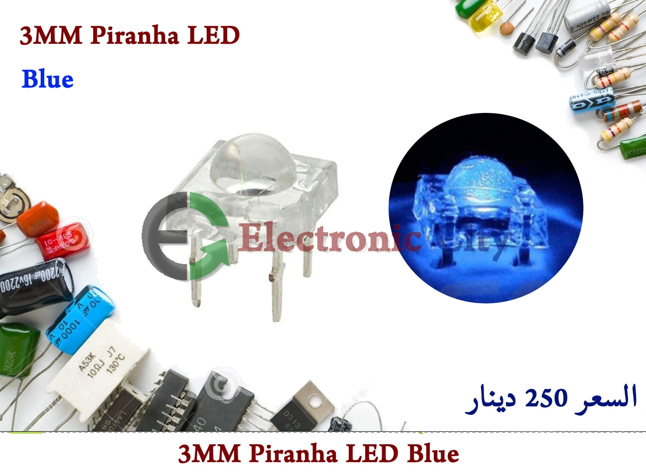 3MM Piranha LED Blue