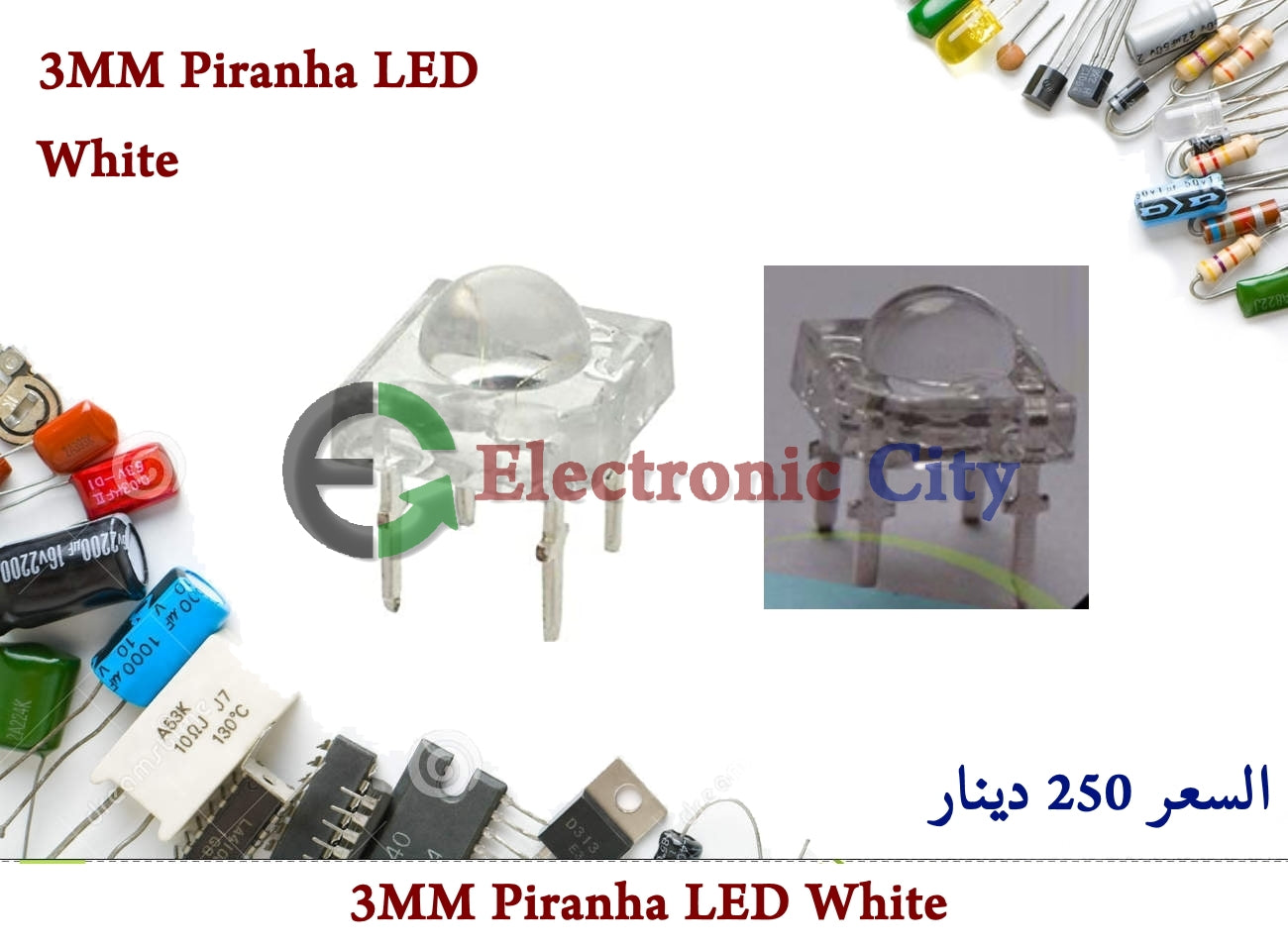 3MM Piranha LED White