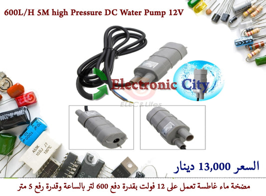 600LH 5M high Pressure DC Water Pump 12V #i12