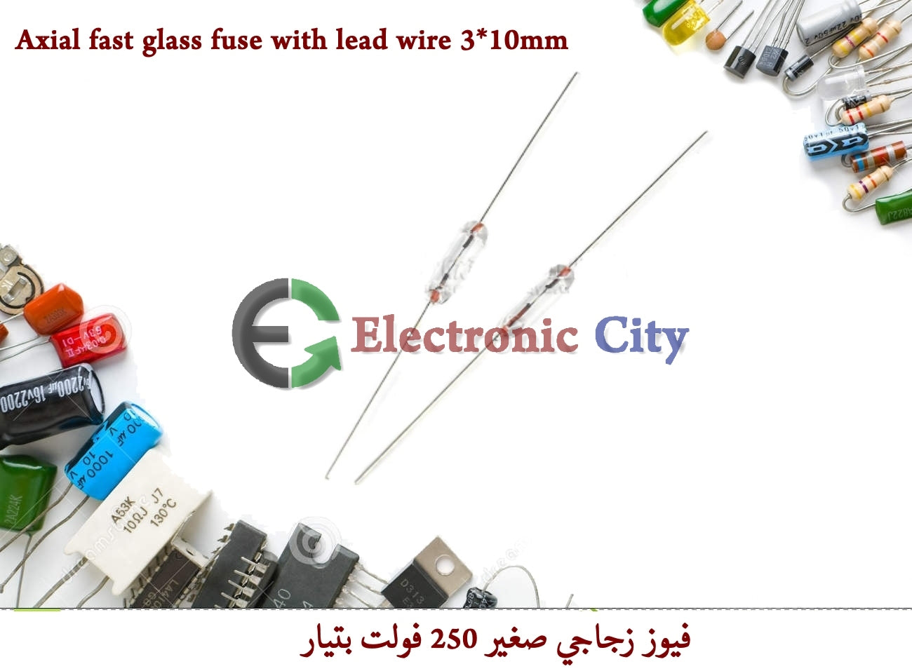 Axial fast glass fuse with lead wire 3X10mm