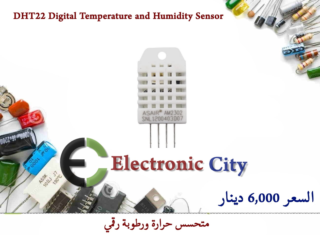 DHT22 Digital Temperature and Humidity Sensor #S10 011150