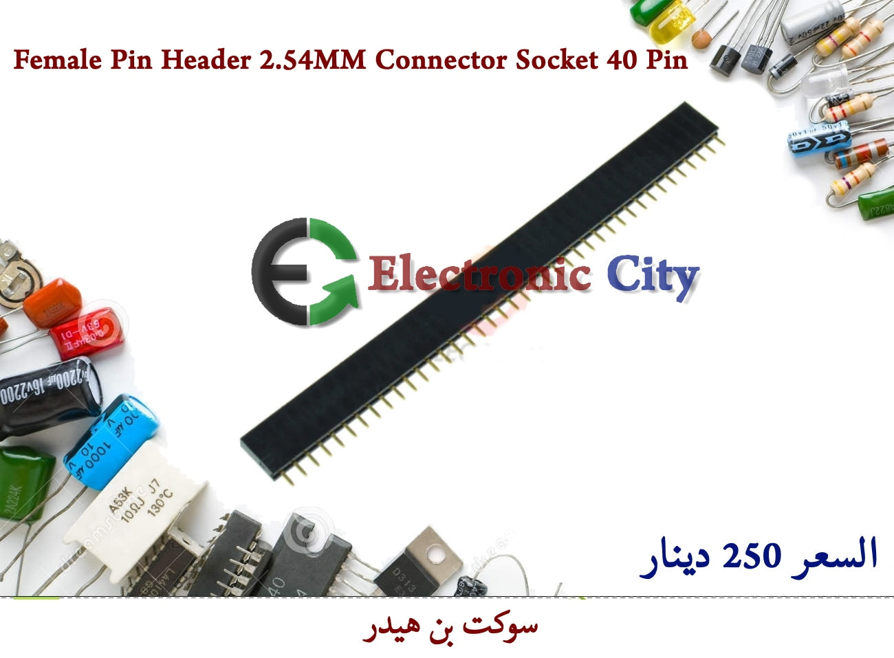 Female Pin Header 2.54MM Connector Socket 40 Pin