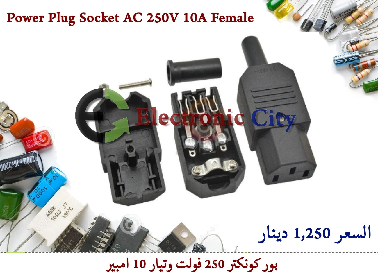 Power Plug Socket AC 250V 10A Female #L10 X52393