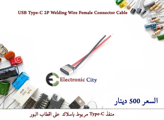 USB Type-C 2P Welding Wire Female Connector Cable